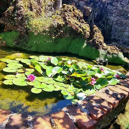 Semesterbostad Parientucas Novales