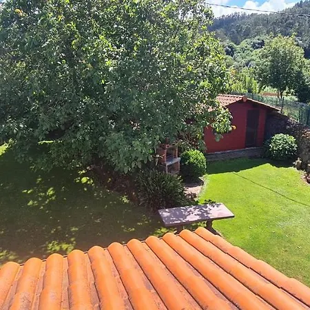 Parientucas Новалес