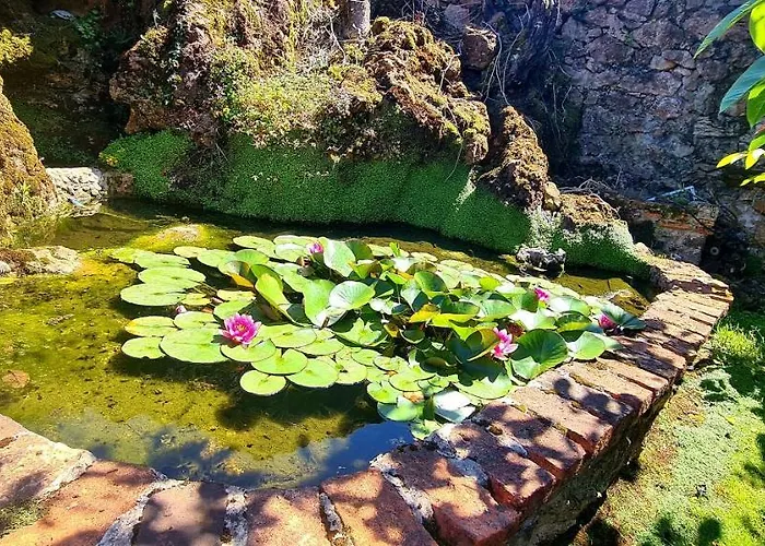 Semesterbostad Parientucas Novales