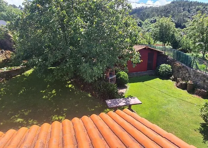 Parientucas ノバレス